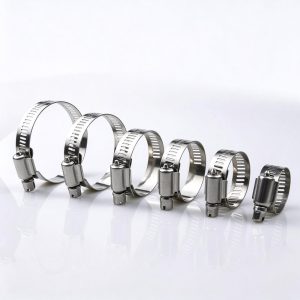 hose clamps 1000